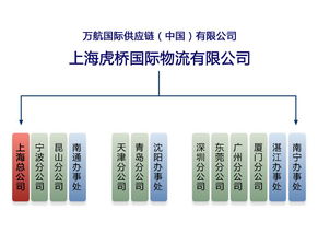 進口商品檢驗程序與代理服務(wù)全解析 聚焦二手機械報檢與網(wǎng)上貿(mào)易代理